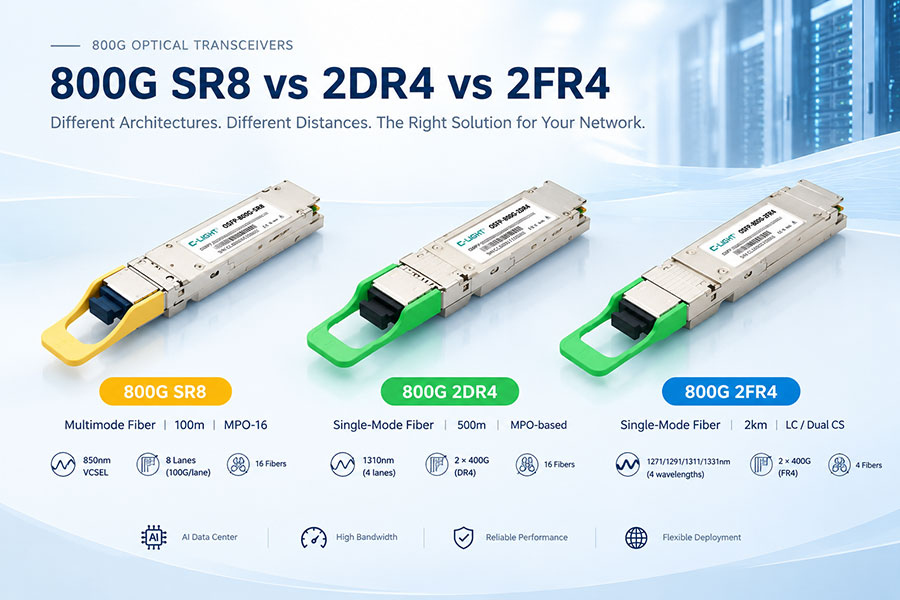 800G SR8 vs 2DR4 vs 2FR4