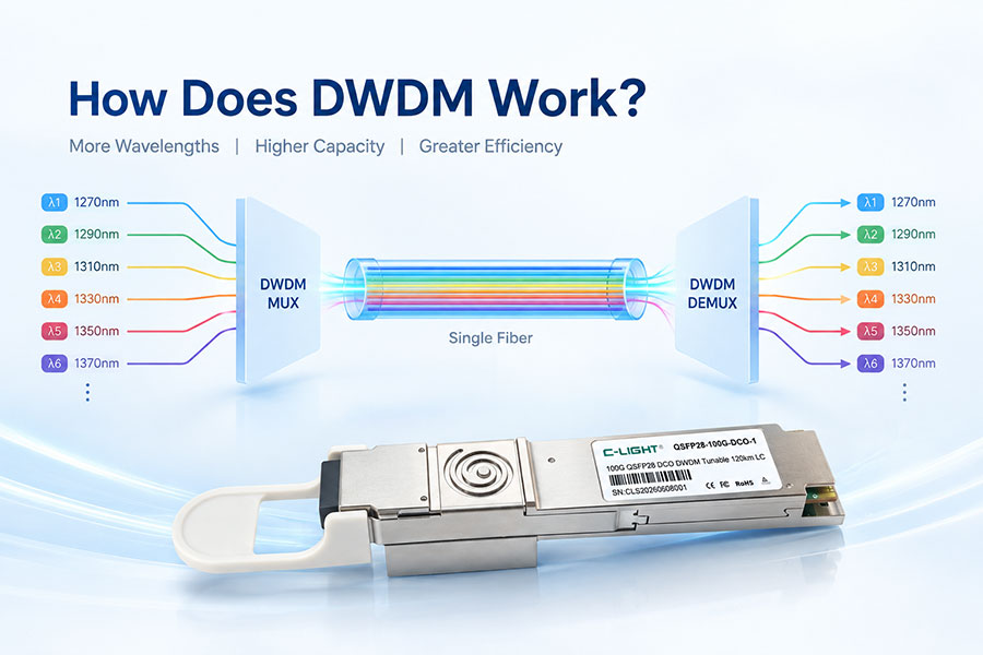 How Does DWDM Work?